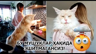 Ayollarni boglaydigan porno fotosuratlar