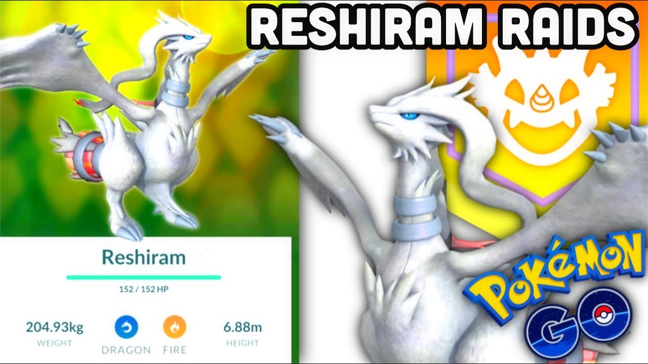 Reshiram, Zekrom, and Kyurem join Pokémon Go raids - Polygon