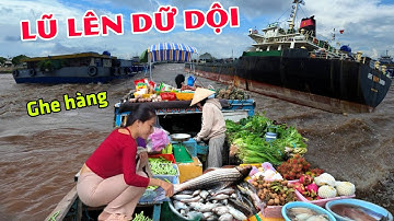 Lũ lên dữ dội gặp ghe hàng 1000 Sà lang cát từ Campuchia qua bán ở Sông Tiền