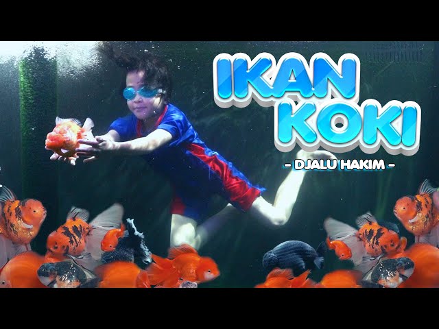 DJALU HAKIM - Ikan Koki - Offcial Music Video class=