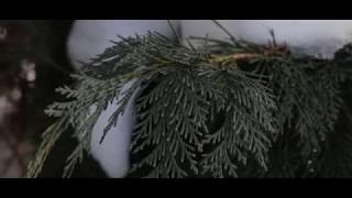 1. Winter at Denison University