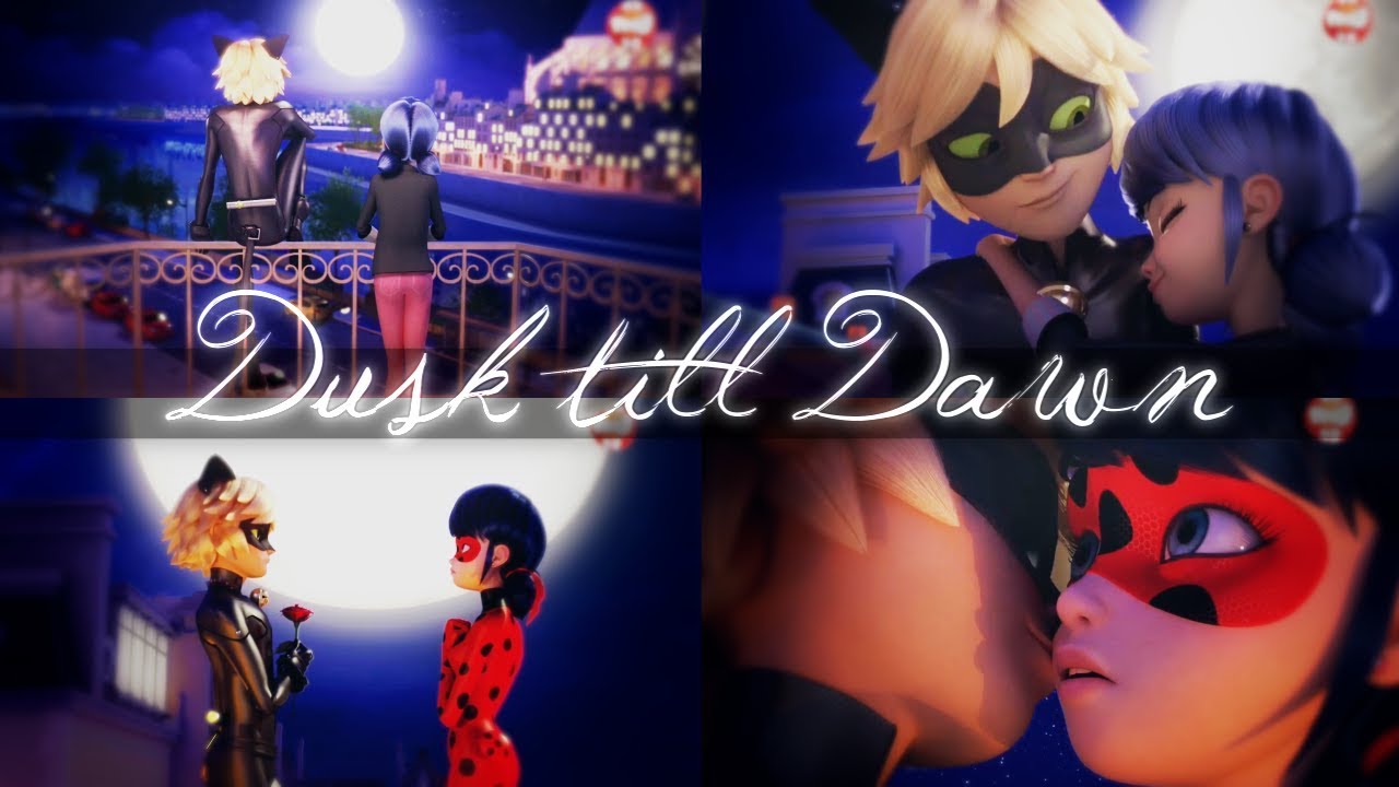 Marinette & Cat Noir | Ladybug & Cat Noir 「Dusk Till Dawn」Miraculous Ladybug【AMV】