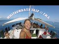 THE WHITSUNDAY ISLANDS // Leben auf einem Segelboot!