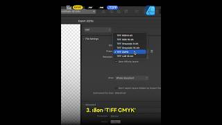 EP02: EXPORT ARTBOARD #AffinityDesigner