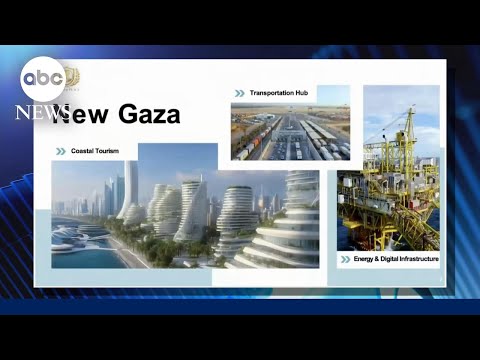Trump's redevelopment plan in Gaza 'feels very distant': NGO head
