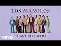 Los manolos  gitana hechicera cover audio