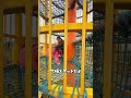 \見守りやすい/全力スポット#蓮沼海浜公園#Shorts