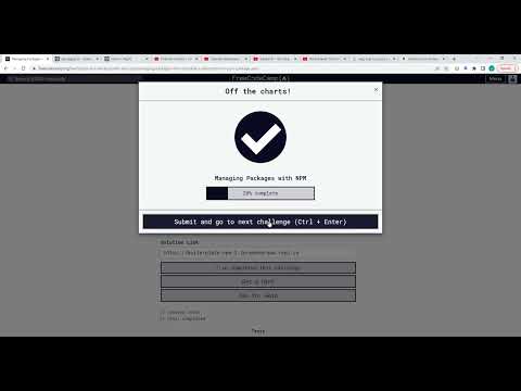 Back End Development and APIs Certification   freeCodeCamp org   Part 1-5 NPM Install