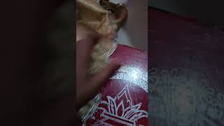 #dimond borderchya साडीला फॉल asa लावावा #rajashree creation #