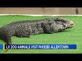 Residents enjoy wildlife visit at Phoebe Allentown