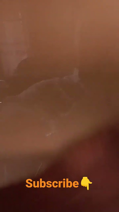 💢 100 % Pure Acrylic Laminate #shorts #veera