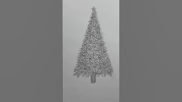 Teken een kerstboom 🎄 Eenvoudige tekenles over het tekenen van een kerstboom. #howtodraw