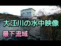 #大江川 #水中 大江川の水中映像 最下流域