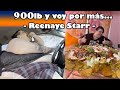 900 Libras Y Aun Así Quiere Mas SSBBW Reenaye Starr Inmóvil