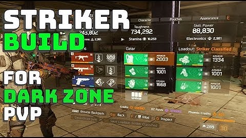 Striker Build Guide 2024 - The Division 1 Dark Zone PvP Build | 10K Striker | PC