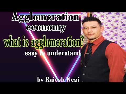 Agglomeration economy|class 10 ncert|by Rajesh Negi