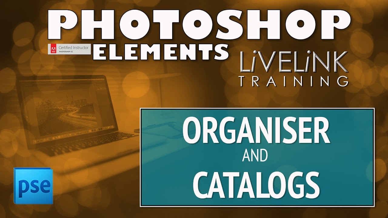 The Organiser and Catalogs