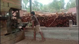kayu jati doreng bahan pintu#pejuangrupiah #kayujatisuper #tebangkayujati #storywa