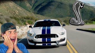 Why the Shelby GT350 is the best car (and how you can win it)