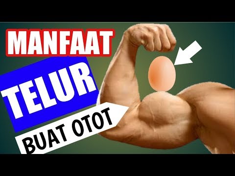 Hati2 kalo makan putih telur / Otan GJ. 