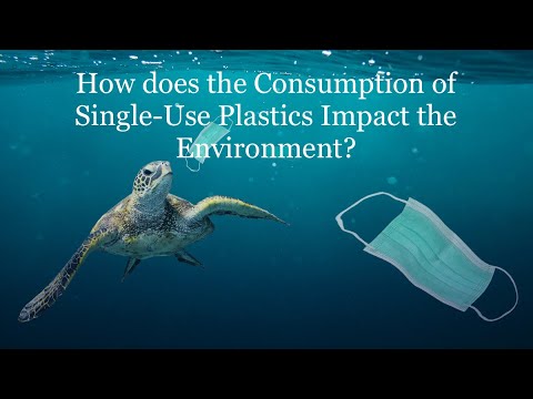 How does the Consumption of Single-Use Plastics Impact the Environment ...