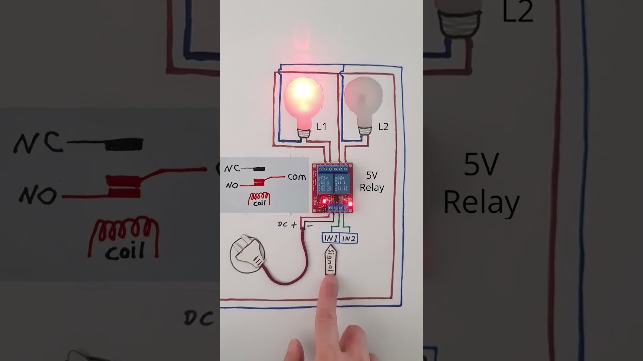2 Channel Relay Module Signal Simulation Without Arduino