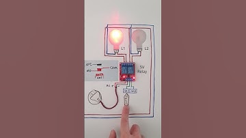Thumbnail of 2 Channel Relay Module Signal Simulation without Arduino