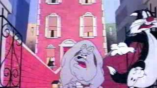 Looney Toons - Tweety And Sylvester Muzzle Tough