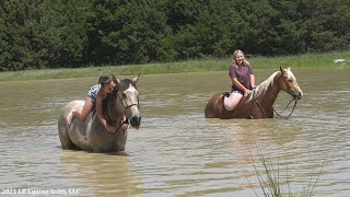 Master San Badger and Dolly Parton Swimming in the Pond - SOLD in 24 HOURS