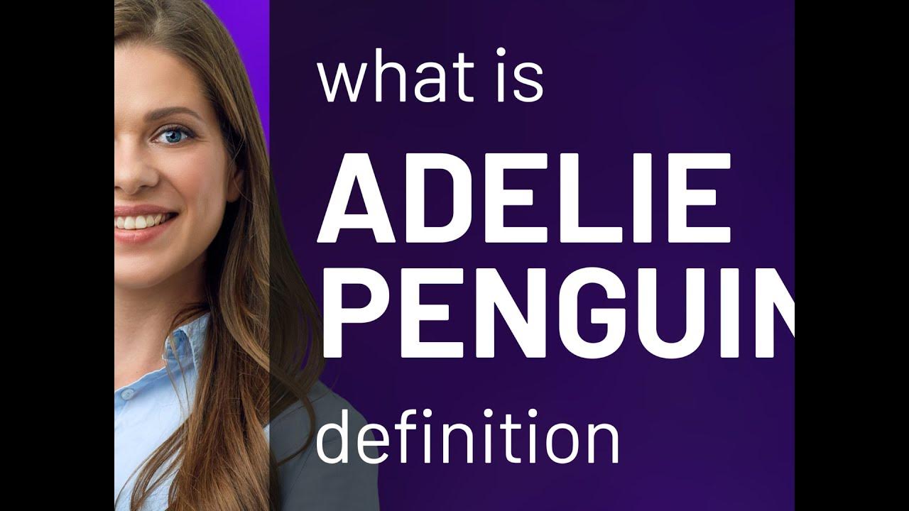 adelie-penguin-what-is-adelie-penguin-definition-youtube