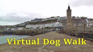 Walk Your Dog TV : TV for Dogs  Virtual Dog Walking at Porthleven
