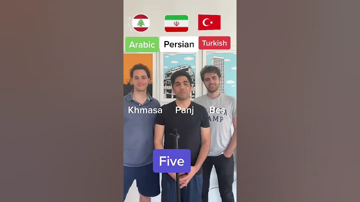 Arabic VS Persian VS Turkish!