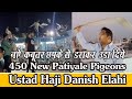 Chapke se dara kar uda diye 450 new patiyale kabutar ustad haji danish elahi delhi kabbootar bazi