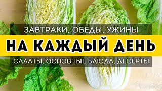 БОЛЬШАЯ ПОДБОРКА простых и вкусных рецептов на КАЖДЫЙ ДЕНЬ🍴Завтраки, обеды, ужины и десерты screenshot 3