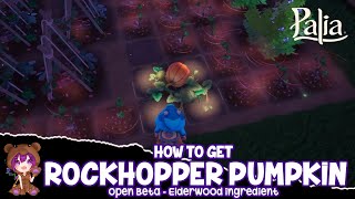 Palia How to get Rockhopper Pumpkin