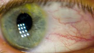 Macro of a beautiful eye. Video. Macro shot of a woman's eye. macro eye brown. Very sharp macro of