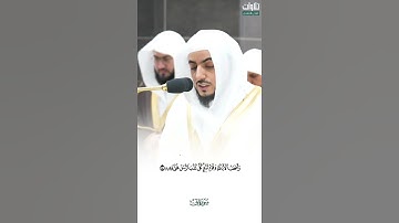 وَالنَّخْلَ بَاسِقَاتٍ لَّهَا طَلْعٌ نَّضِيدٌ. تلاوة جميلة الشيخ الوليد الشمسان تلاوة من سورة ق.