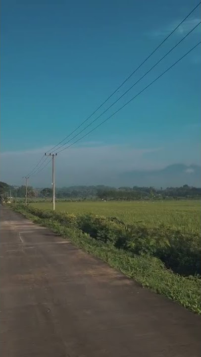 MENTAHAN VIDEO keren di pagi hari || story' wa 30 detik #selamatpagi