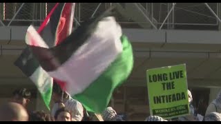 Pro-Palestinian protesters shut down Brooklyn Museum