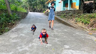 Monkeys Momo and Nana exercise and play with their mother