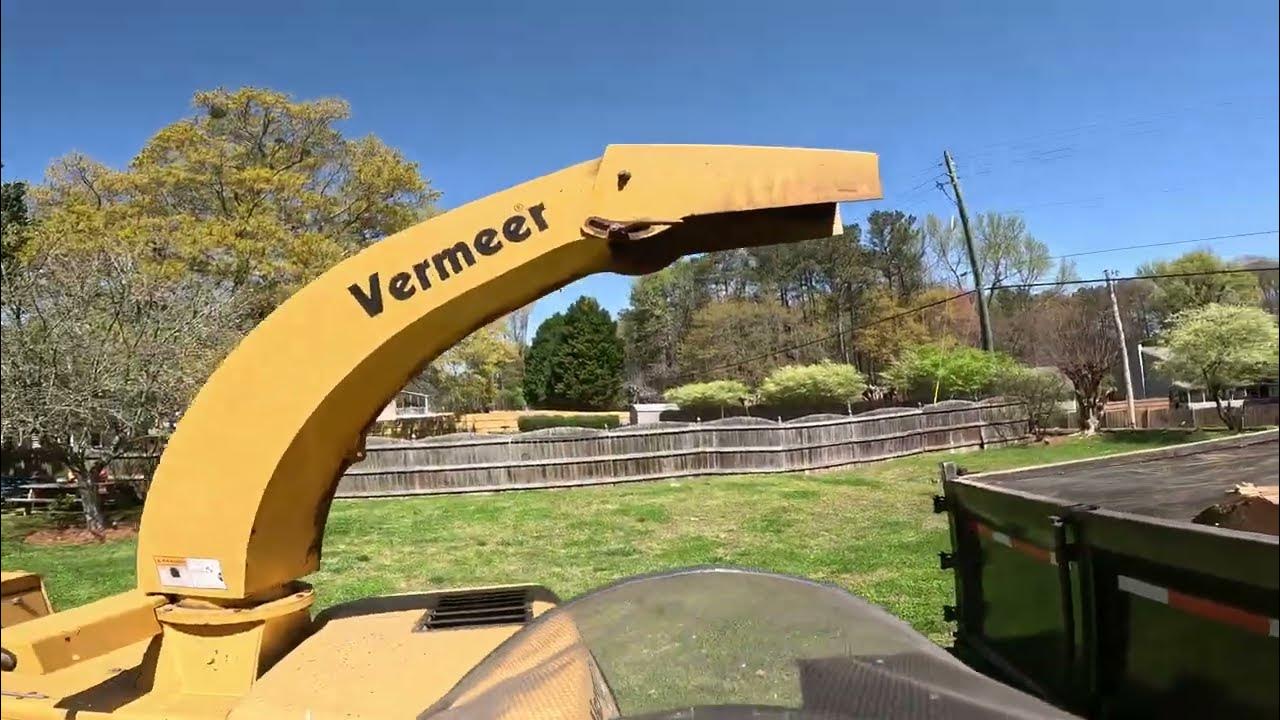 REMOVING OAK TREE IN THE BACKYARD YouTube