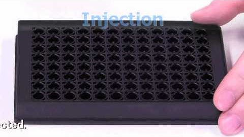 ZFplate for high-throughput screening of zebrafish.