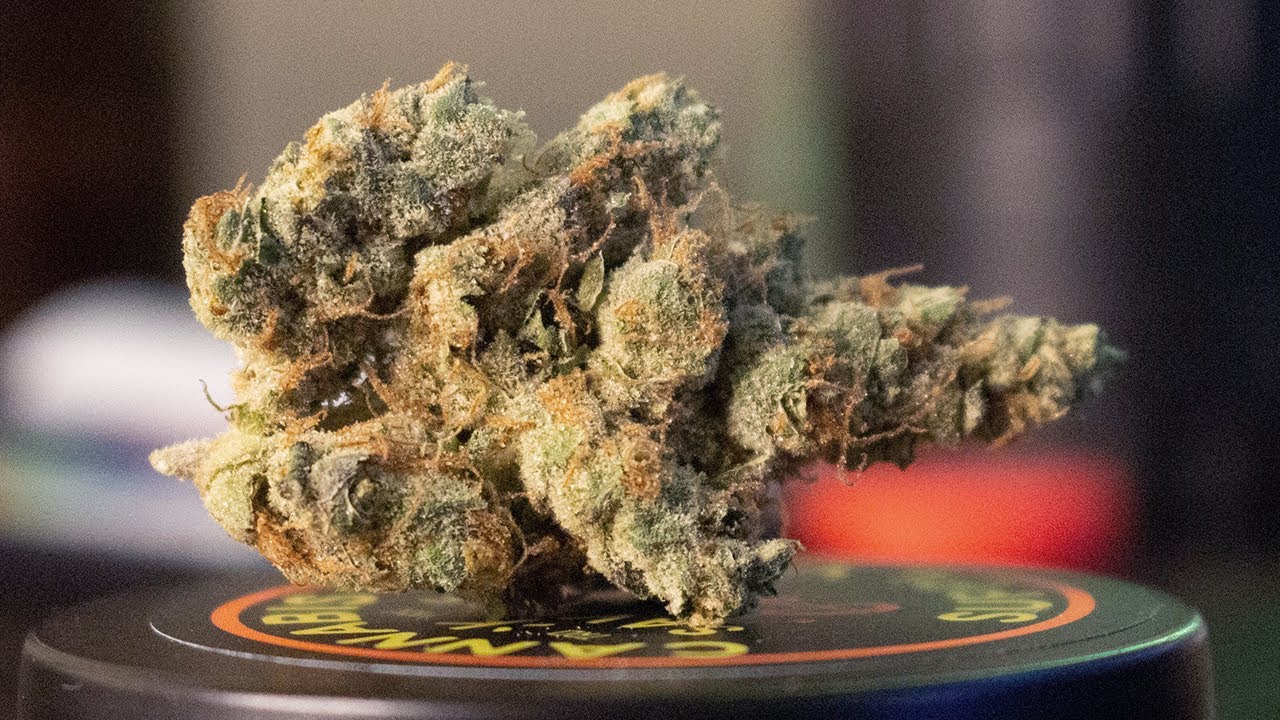 "GMO" - (Strain Review)