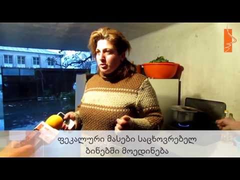 ფეკალური მასები საცხოვრებელ ბინებში მოედინება