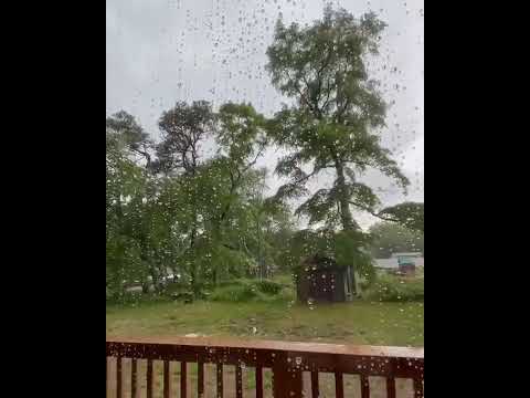 Lighting hits tree
