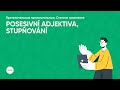 Занятие по грамматике, тема: «Posesivní adjektiva»