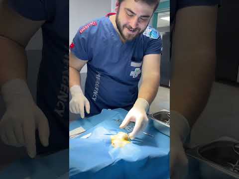 Video: Köpeğinizin Spayed Ne Olur