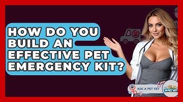 How Do You Build An Effective Pet Emergency Kit? - Ask A Pet Vet
