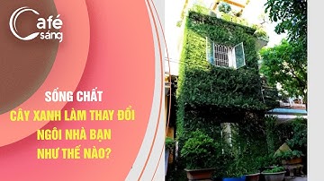 CÂY XANH LÀM THAY ĐỔI NGÔI NHÀ BẠN NHƯ THẾ NÀO? | SỐNG CHẤT - VTV3