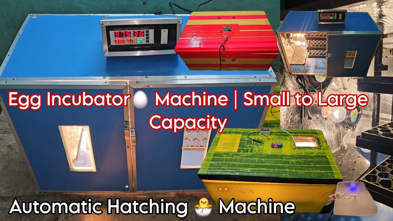 Automatic Hatching Machine 🐣 Egg Incubator🪺 Machine | Small to Large ...